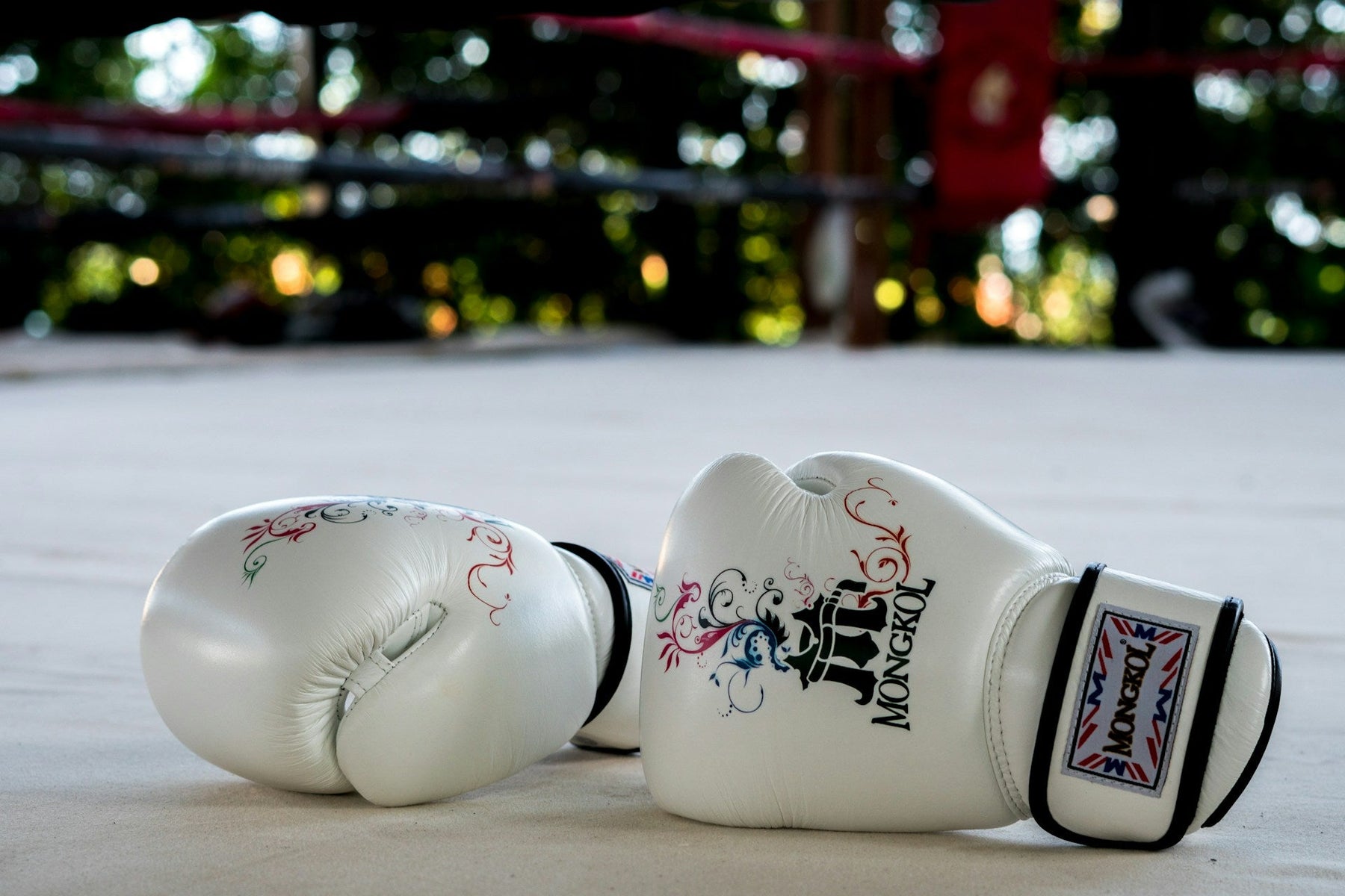 boxing memorabilia