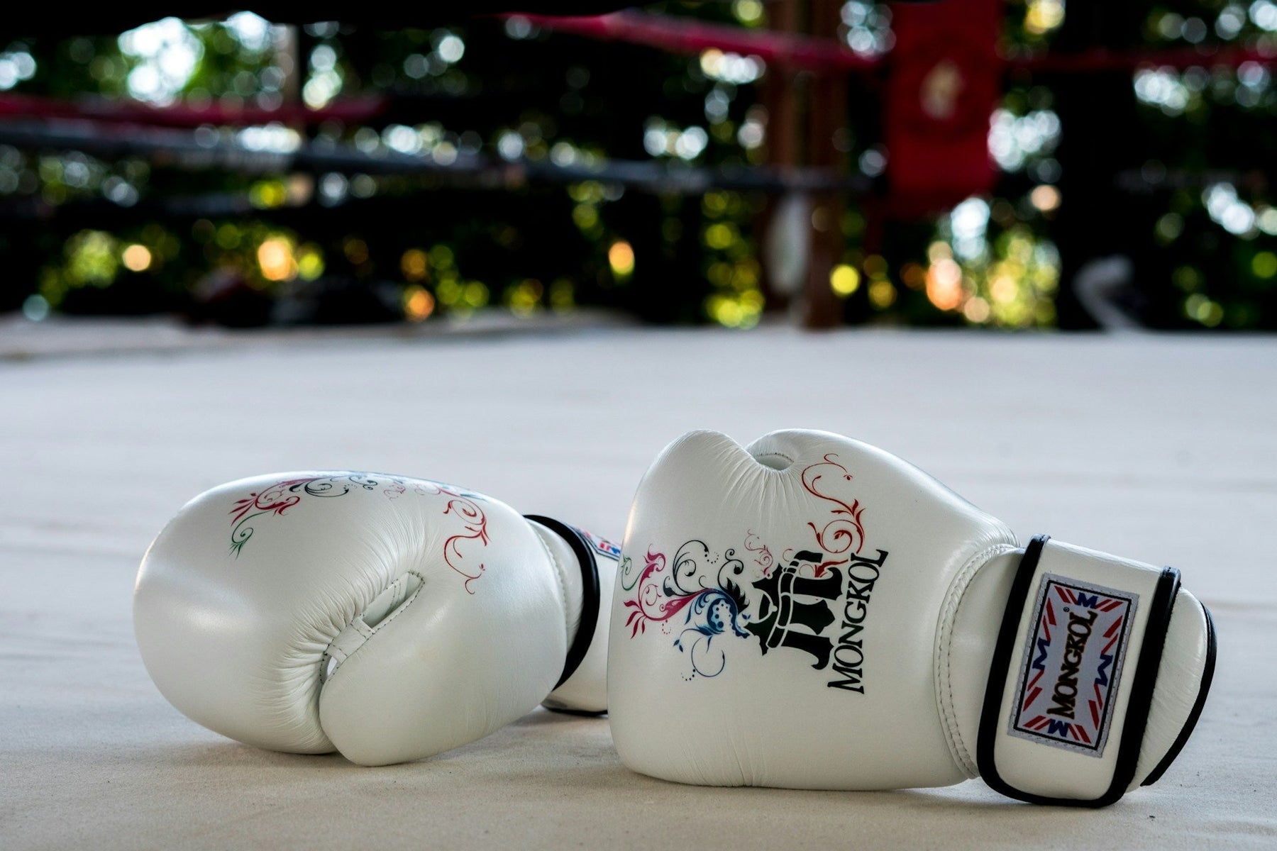 boxing memorabilia
