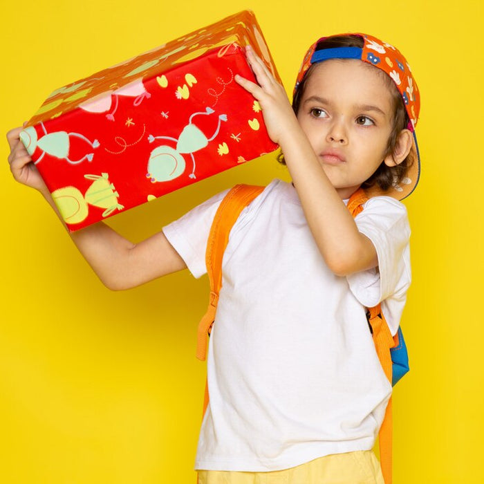 kids mystery box