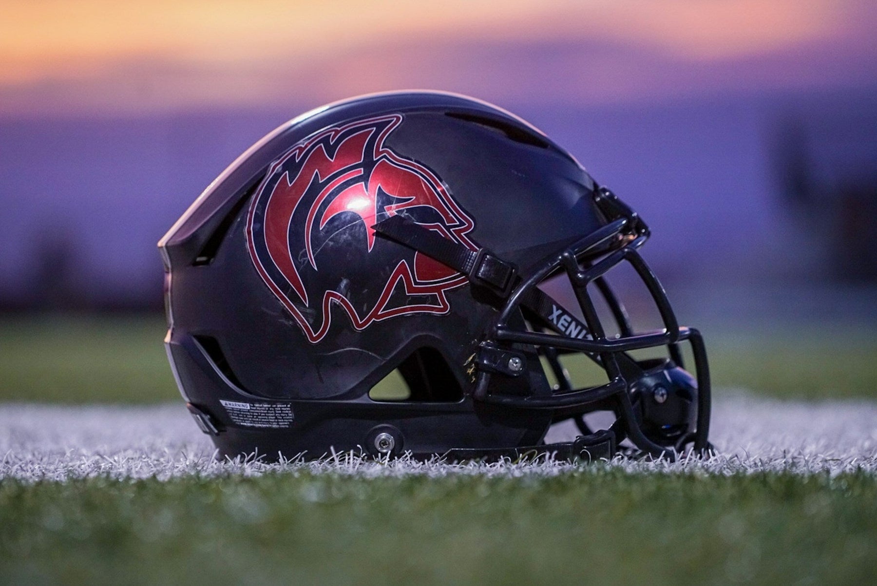 NFL Helmet