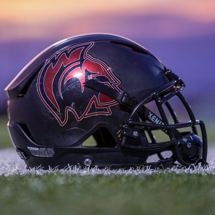 NFL Helmet