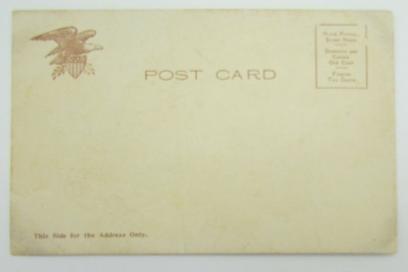 Vintage Postcard with University of Penn female student 1905 Bergman 140051