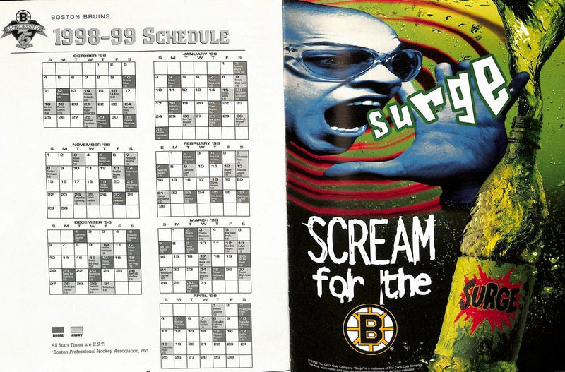 1990-1991 Boston Bruins Yearbook 179636