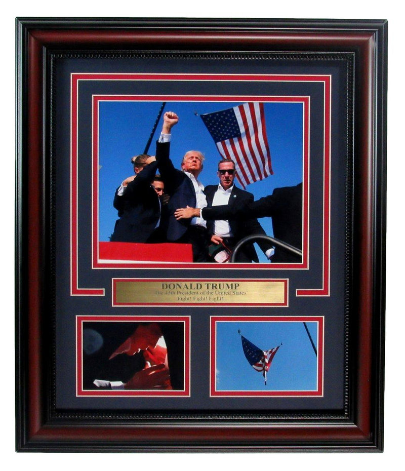 Donald Trump July 13, 2024 Butler, PA Photo Collage Framed 191297