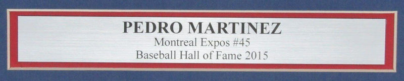 Pedro Martinez HOF Autographed 16x20 Photo Montreal Expos Framed Beckett 176776