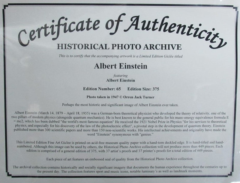 Albert Einstein Fine Art Lithographic Limited Numbered Print Framed 187196