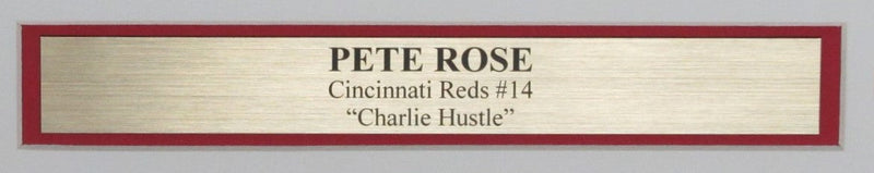 Pete Rose Signed/Autographed 16x20 Photo Cincinnati Reds Framed JSA 193920