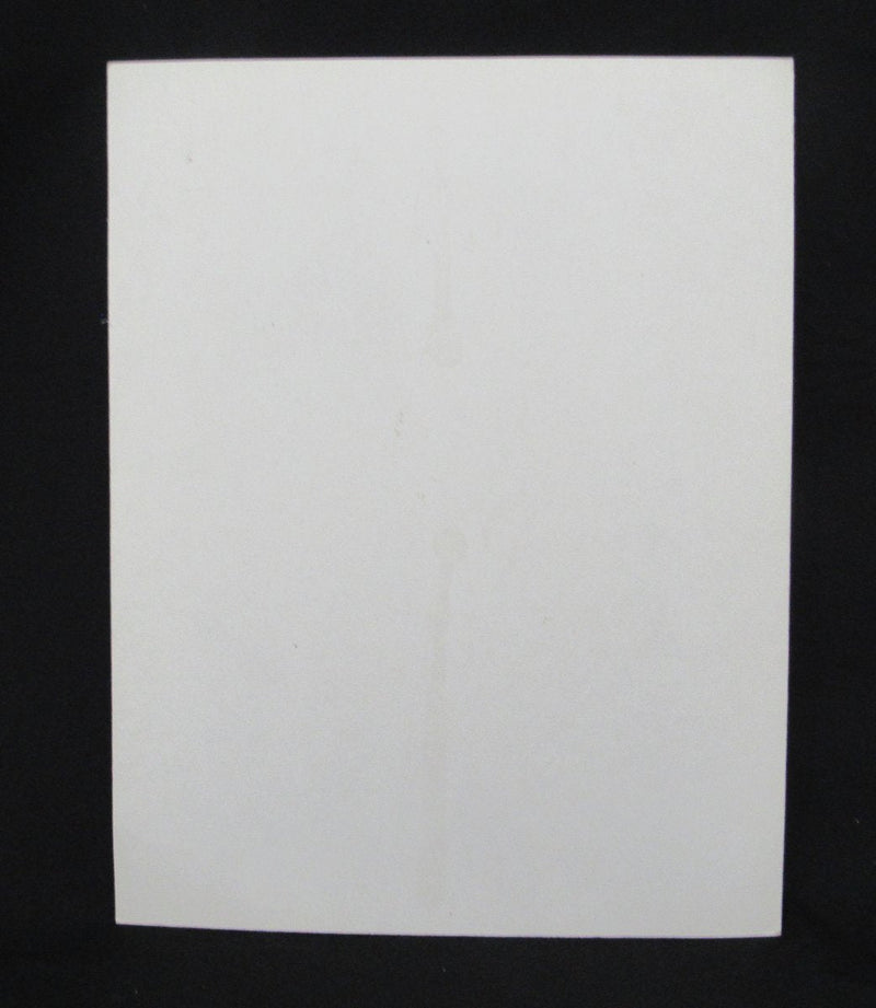 David Halberstam "October 1964" Book Mickey Mantle 12x15 Store Display 195617