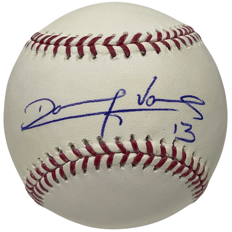Danry Vasquez Signed Autographed ROMLB Baseball Tigers Astros LSCM COA