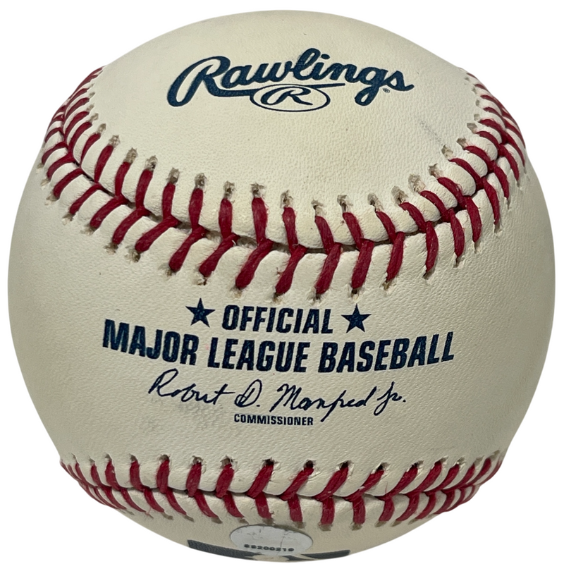 Chance Adams Signed Autographed ROMLB Baseball New York Yankees Steiner COA