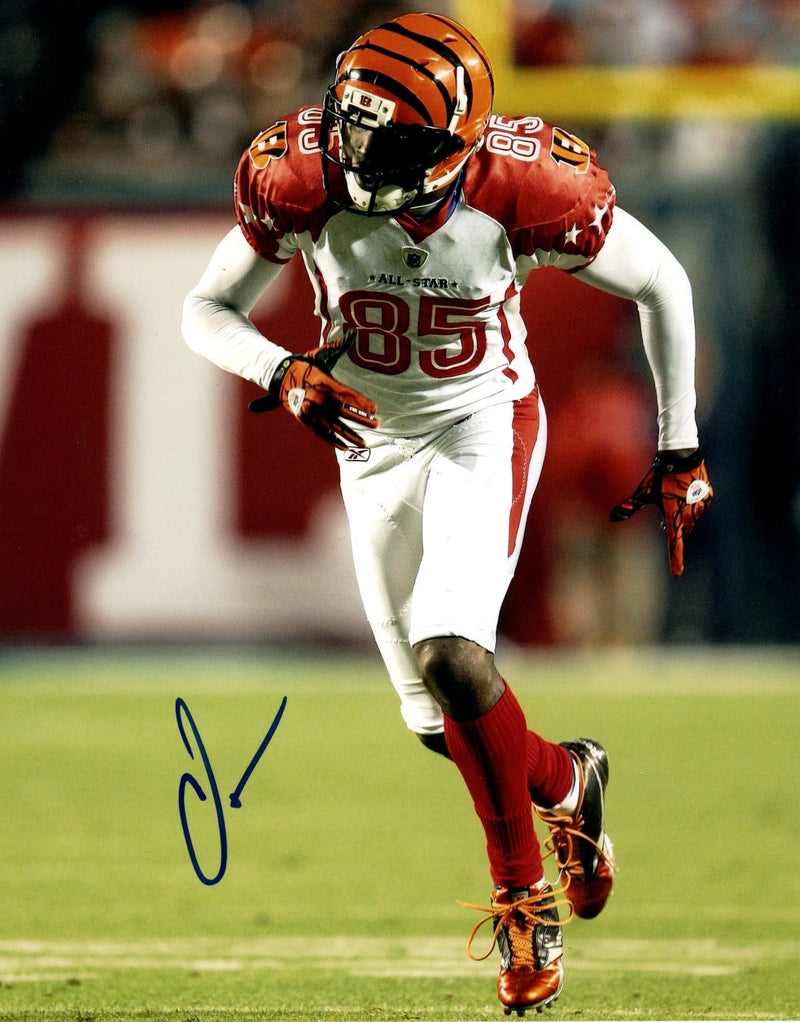 Chad Ochocinco Johnson Signed Autographed NFL Pro Bowl 8x10 Photo LSCM COA #4