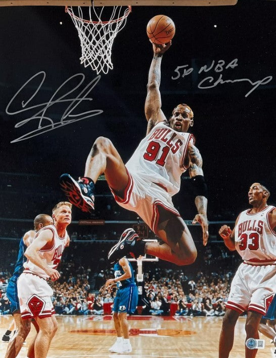 Dennis Rodman Signed 16x20 Photo Bulls w/ 5x NBA Champ Beckett Witness BAS COA