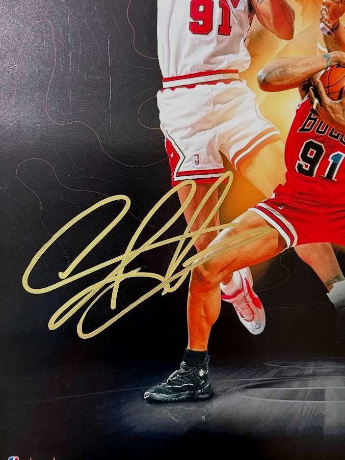 Dennis Rodman Signed Chicago Bulls Collage 20x24 Photo #17/91 Upper Deck UDA COA