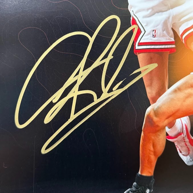 Dennis Rodman Signed Chicago Bulls Collage 20x24 Photo #23/91 Upper Deck UDA COA