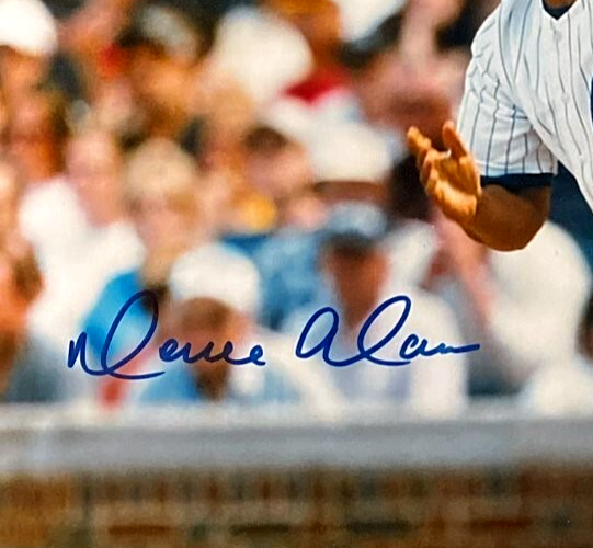 Moises Alou Signed Chicago Cubs 16x20 Photo Beckett Witness BAS COA #1 Bat Flip
