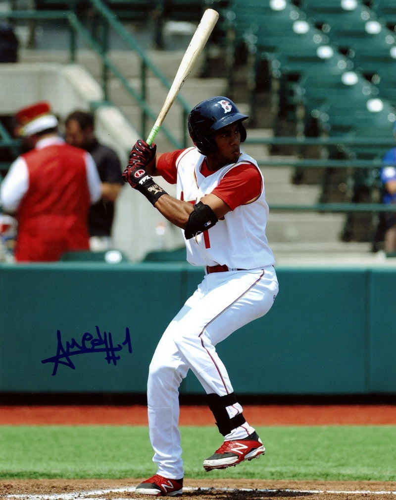 Amed Rosario Signed Brooklyn Cyclones 8x10 Photo LSCM COA Mets #1
