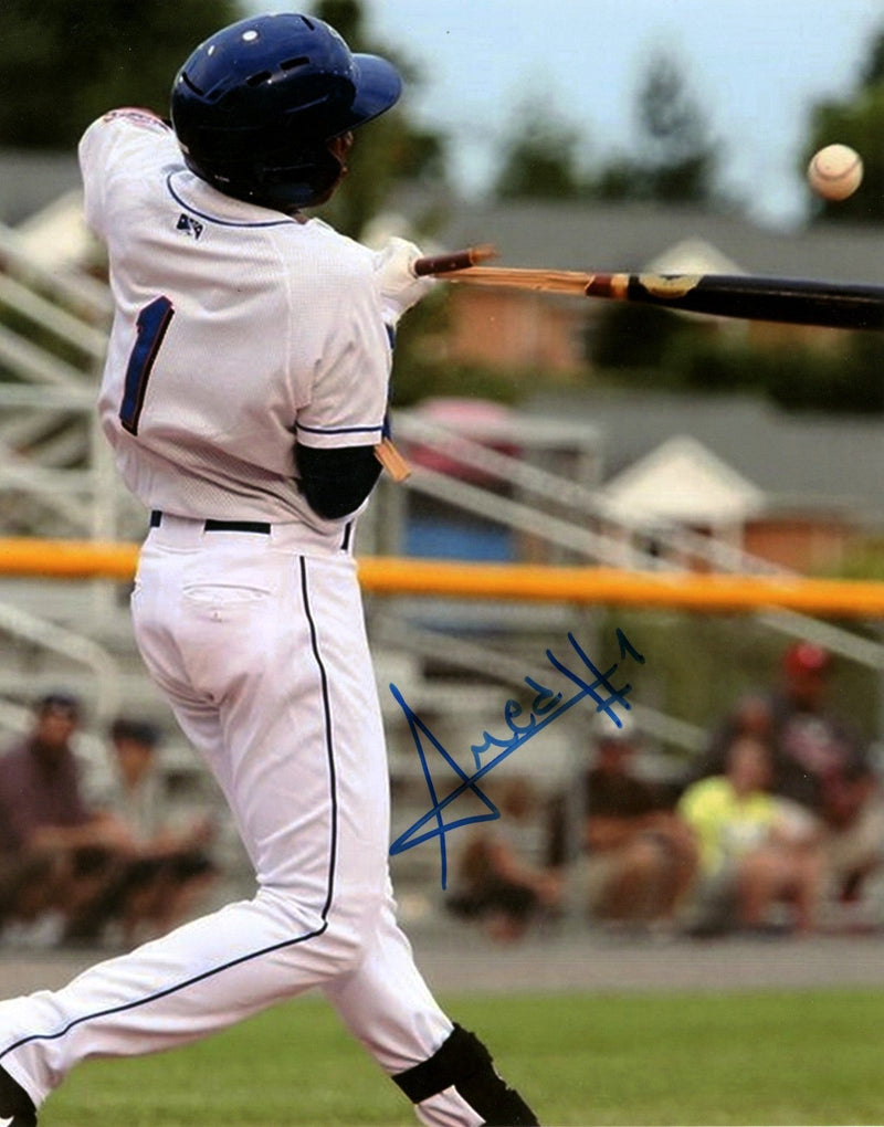 Amed Rosario Signed Autographed Brooklyn Cyclones 8x10 Photo LSCM COA Mets #4
