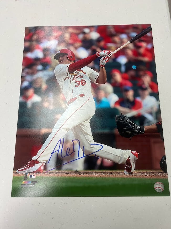 Aledmys Diaz Signed Autographed 16x20 Photo LSCM COA HOLO Cardinals PF