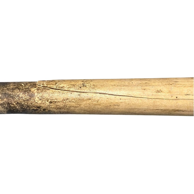 Gary Sheffield Signed Game Used Sam Bat Natural Bat JSA COA Braves A