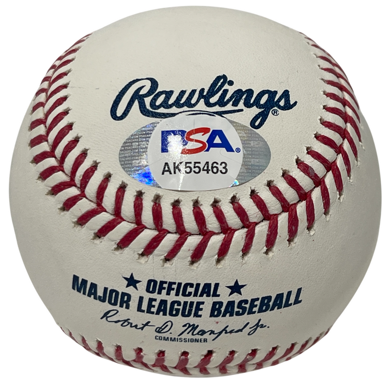 Vladimir Guerrero Jr & Sr Dual Signed Rawlings ROMLB Baseball PSA COA
