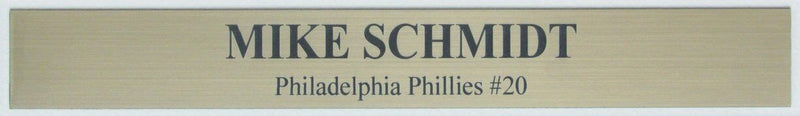 Mike Schmidt Phillies 8x10 Photo & Game Worn Jersey Card Framed 161741