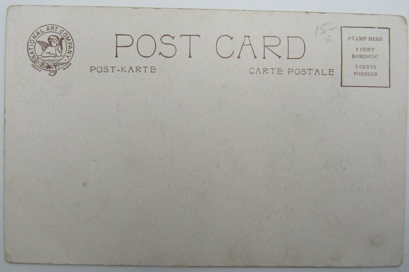 Archie Gunn, National Art No. 148 Unused Postcard, College Girl Waving Pennant