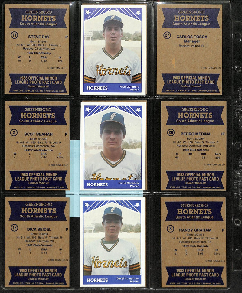 1983 TCMA Baseball Greensboro Hornets Complete Team Set (30/30) Cards 189378