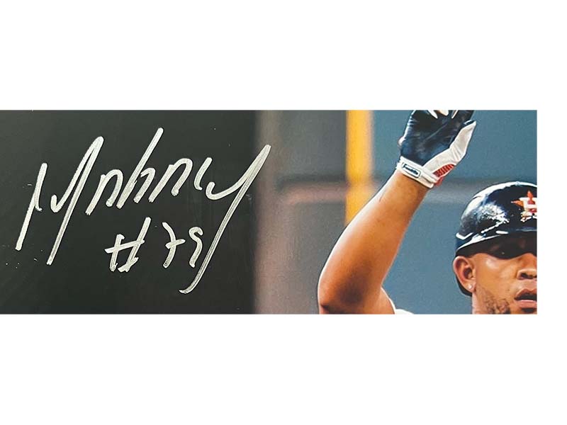 José Abreu Autographed Houston Astros 16x20 Photo Beckett
