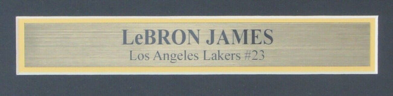 Lebron James Los Angeles Lakers Unsigned  11x14 Photo Framed 155629