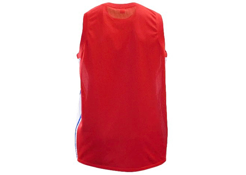 Carl Lewis Olympics USA Jersey (JSA)