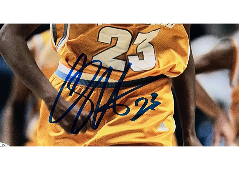 Chamique Holdsclaw Signed 8x10 Photo Tennessee Lady Vols Autographed JSA COA