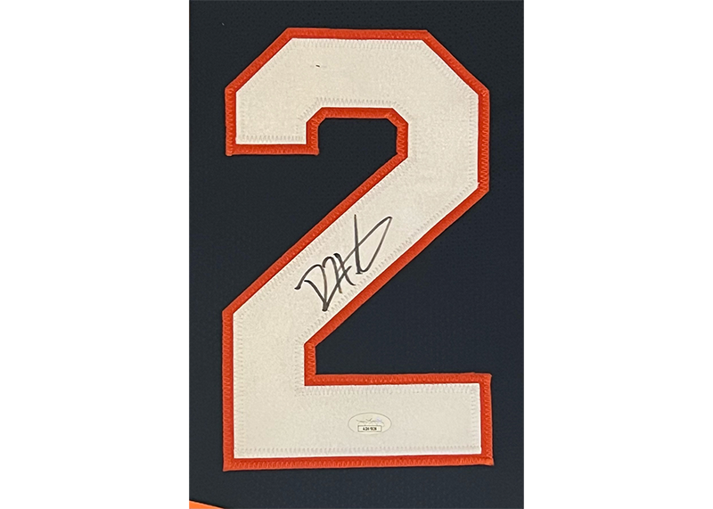 Devin Hester Autographed Chicago Bears 3D Logo Framed Jersey 35”x44”(JSA)