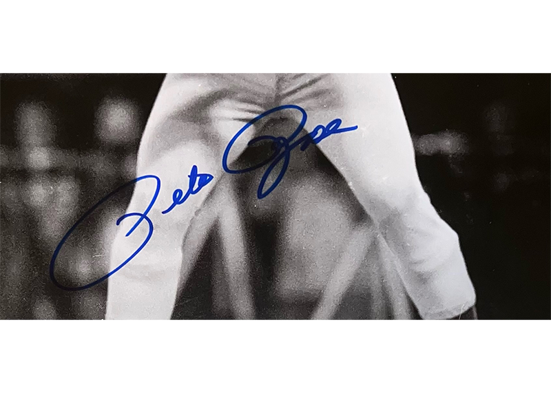 Pete Rose Autographed 16x20 Cincinnati Reds Photo JSA
