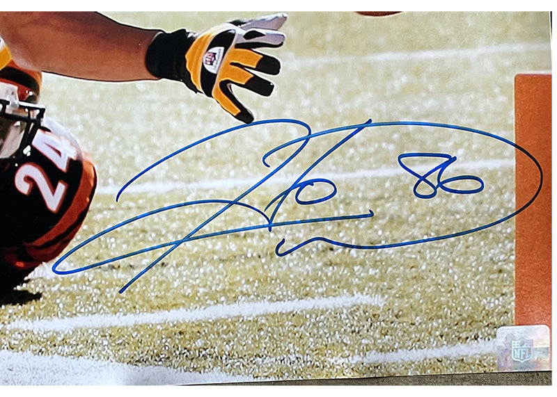 Hines Ward Signed Pittsburgh Steelers 16x20 Photo JSA