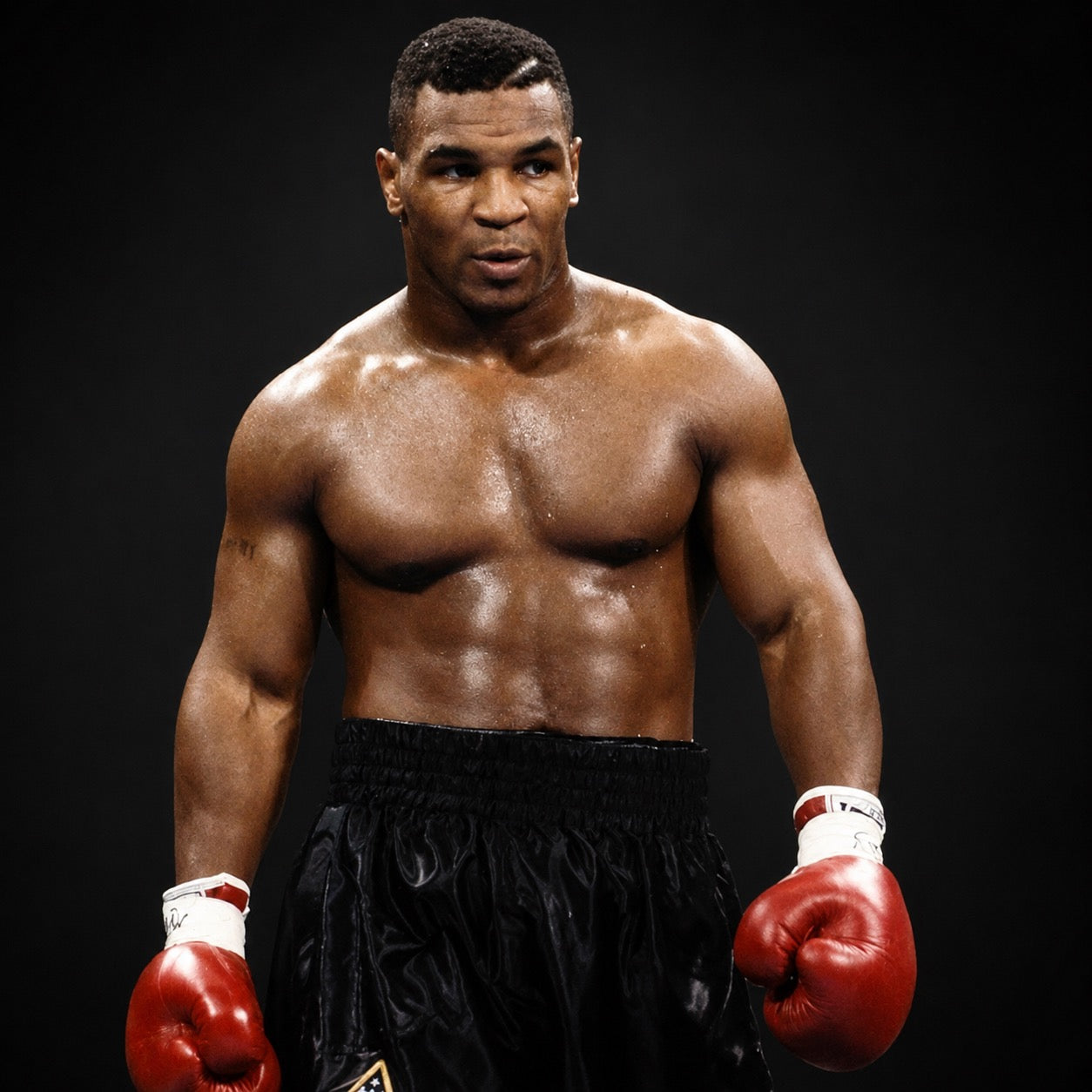 Autographed Frame for Boxing | Signed Boxing Frames | Golden Autographs