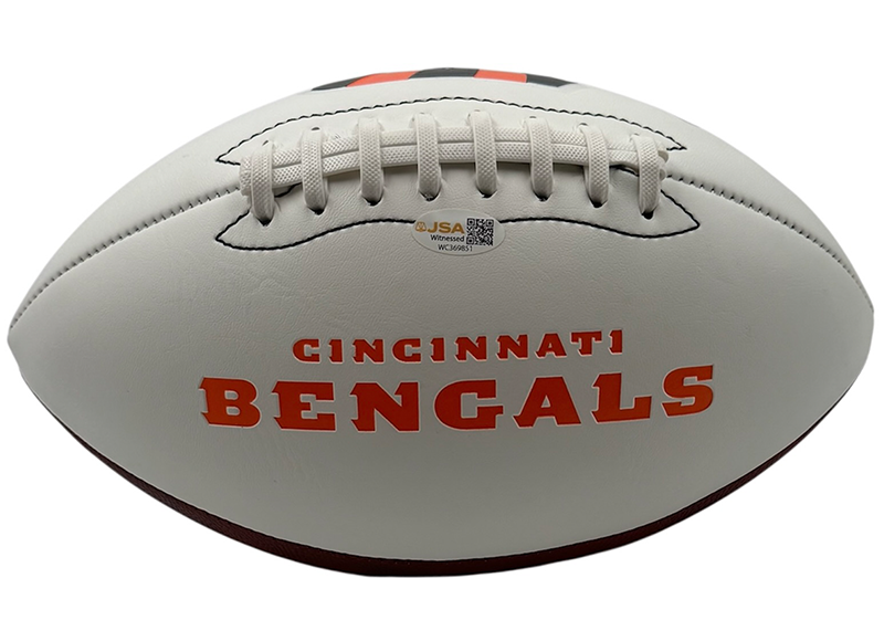 Ken Anderson Signed Cincinnati Bengals Logo Football JSA