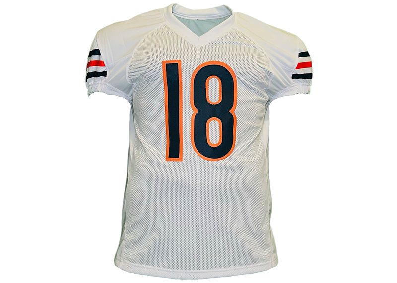 Kyle Orton Signed Chicago Game Cut White Football Jersey JSA