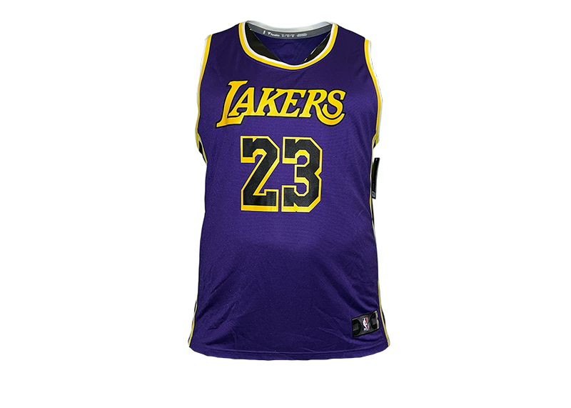 LeBron James Los Angeles Lakers Authentic Basketball Jersey
