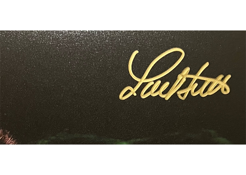 RareLou Ferrigno Signed The Incredible Hulk 8x10 Photo JSA