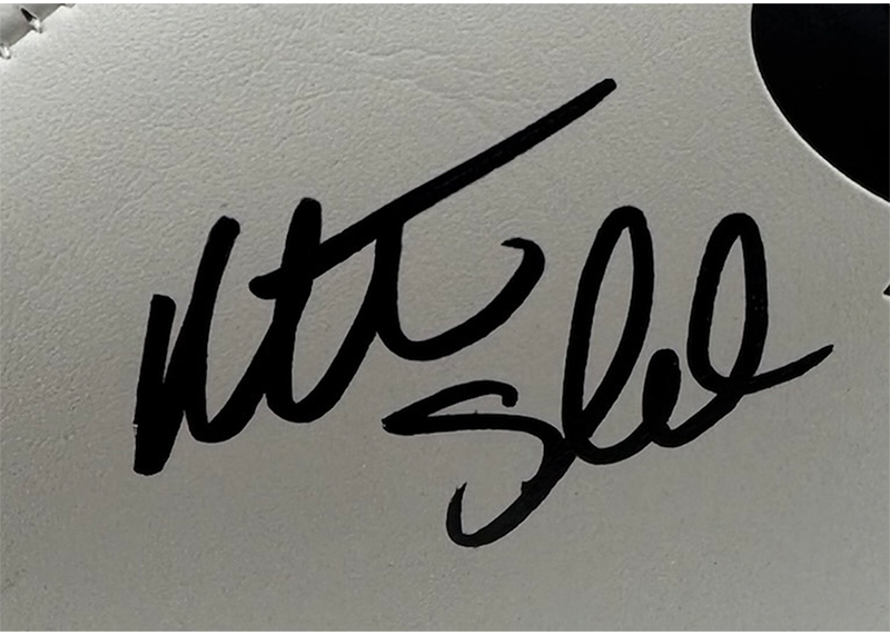 Matt schaub Signed Houston Texans Official NFL Logo Football JSA