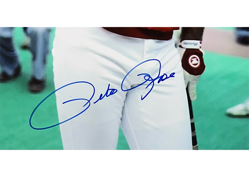 Pete Rose Autographed 16x20 Cincinnati Reds Photo JSA