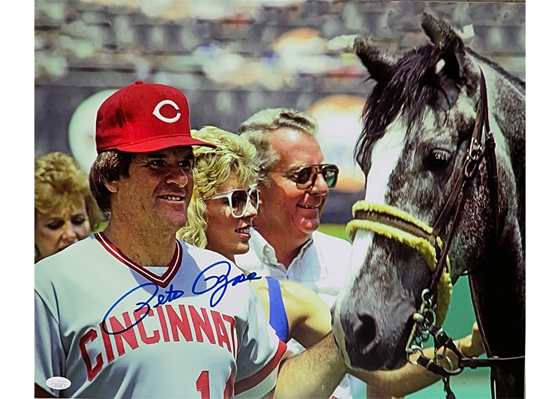 Pete Rose Autographed 16x20 Cincinnati Reds Photo JSA