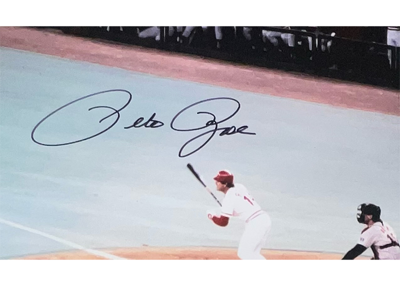 Pete Rose Autographed 16x20 Cincinnati Reds Photo JSA