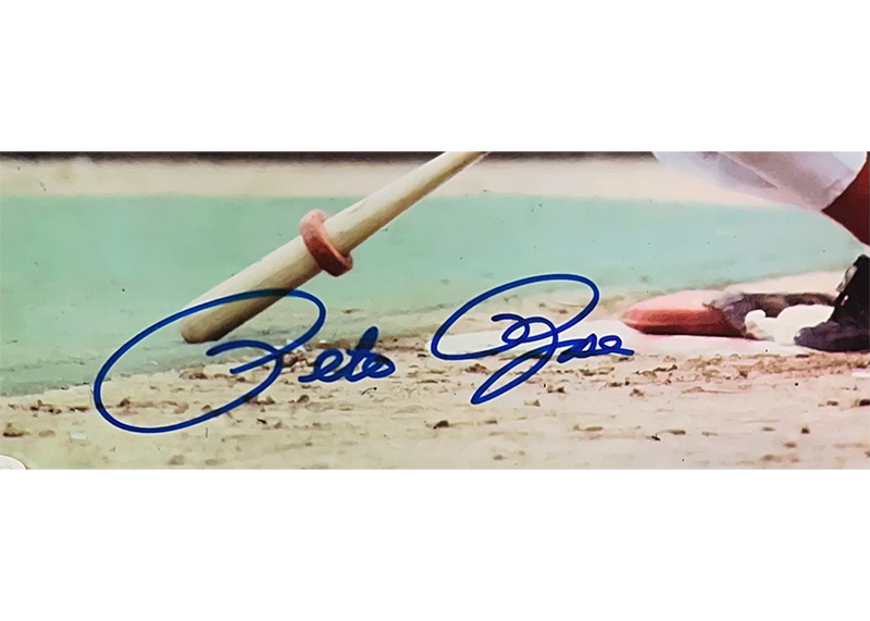 Pete Rose Autographed 16x20 Cincinnati Reds Photo JSA