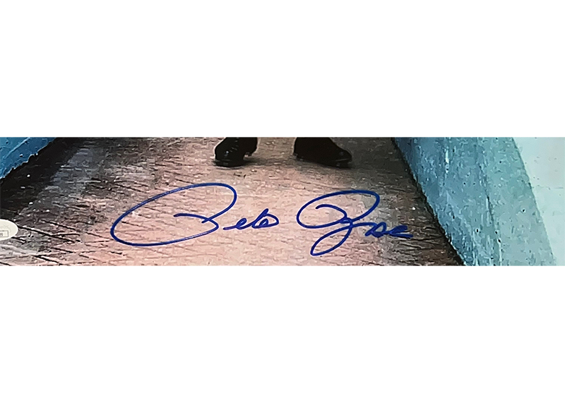 Pete Rose Autographed 16x20 Cincinnati Reds Photo JSA