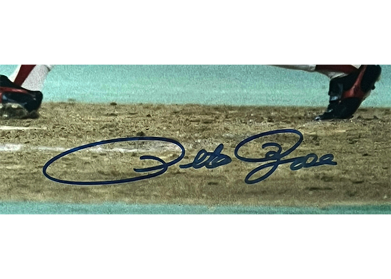 Pete Rose Autographed 16x20 Cincinnati Reds Photo JSA