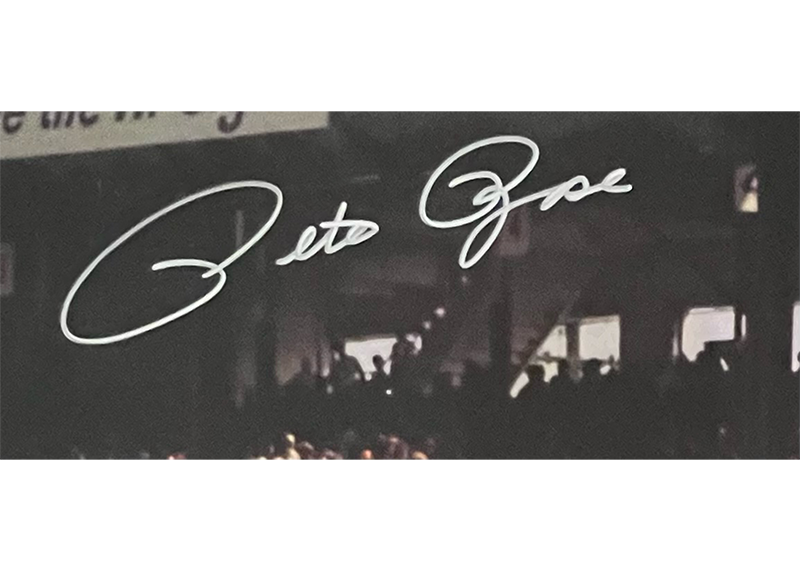 Pete Rose Autographed 16x20 Cincinnati Reds Photo JSA