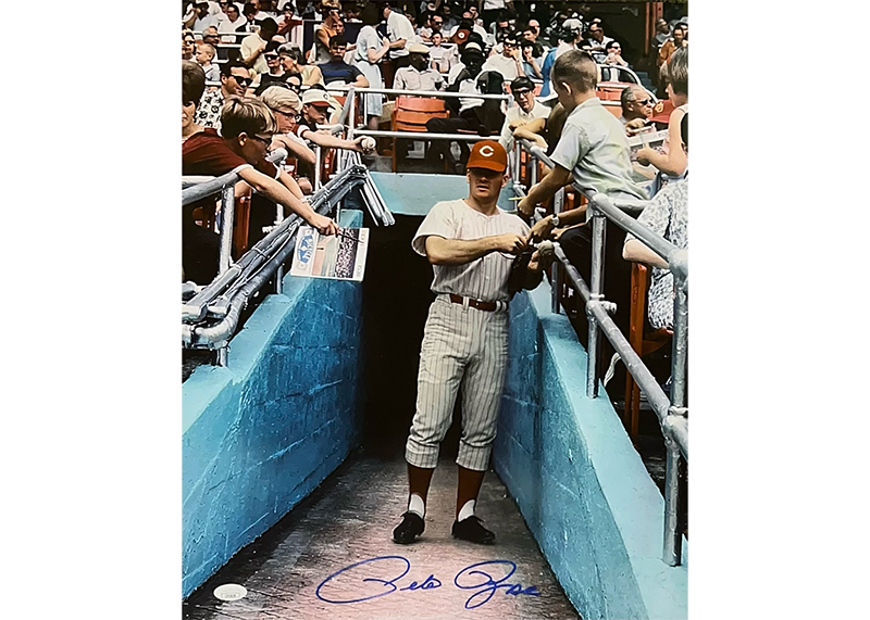 Pete Rose Autographed 16x20 Cincinnati Reds Photo JSA