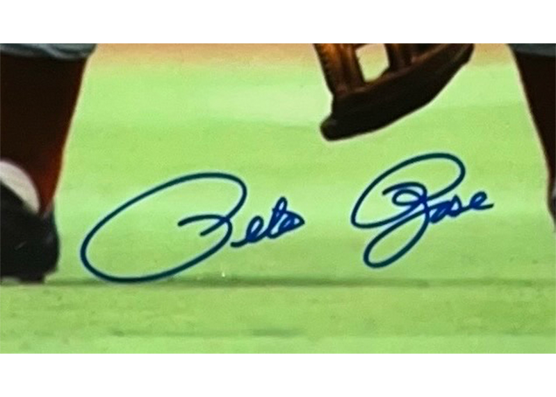 Pete Rose Autographed 16x20 Cincinnati Reds Photo JSA