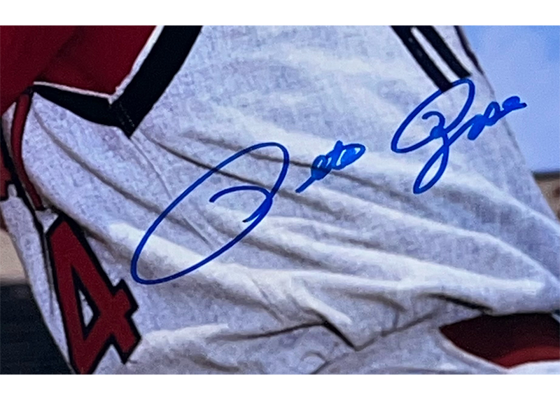 Pete Rose Autographed 16x20 Cincinnati Reds Photo JSA